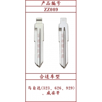 ZZ009 中槽 09#