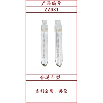 ZZ081	中槽 81#