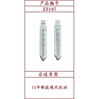 ZZ107	中槽 107#