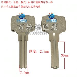 B461 古叶片