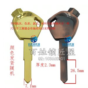 C562 电镀把柄带磁 左 金 古铜