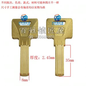 B496 巨