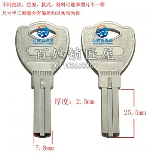 B537 梅 叶片