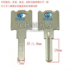 B582 奥单叶片