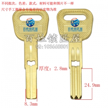 B668 带孔黄金甲胚