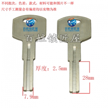 B584 美叶片